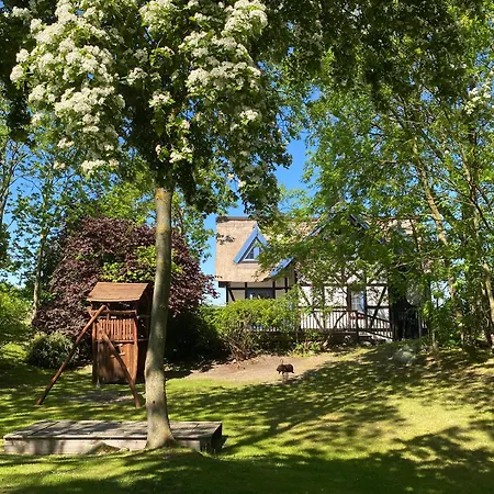 4 Stettinerhaff * Dargen